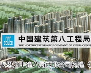 中建八局構建EPM企業(yè)項目管理平臺